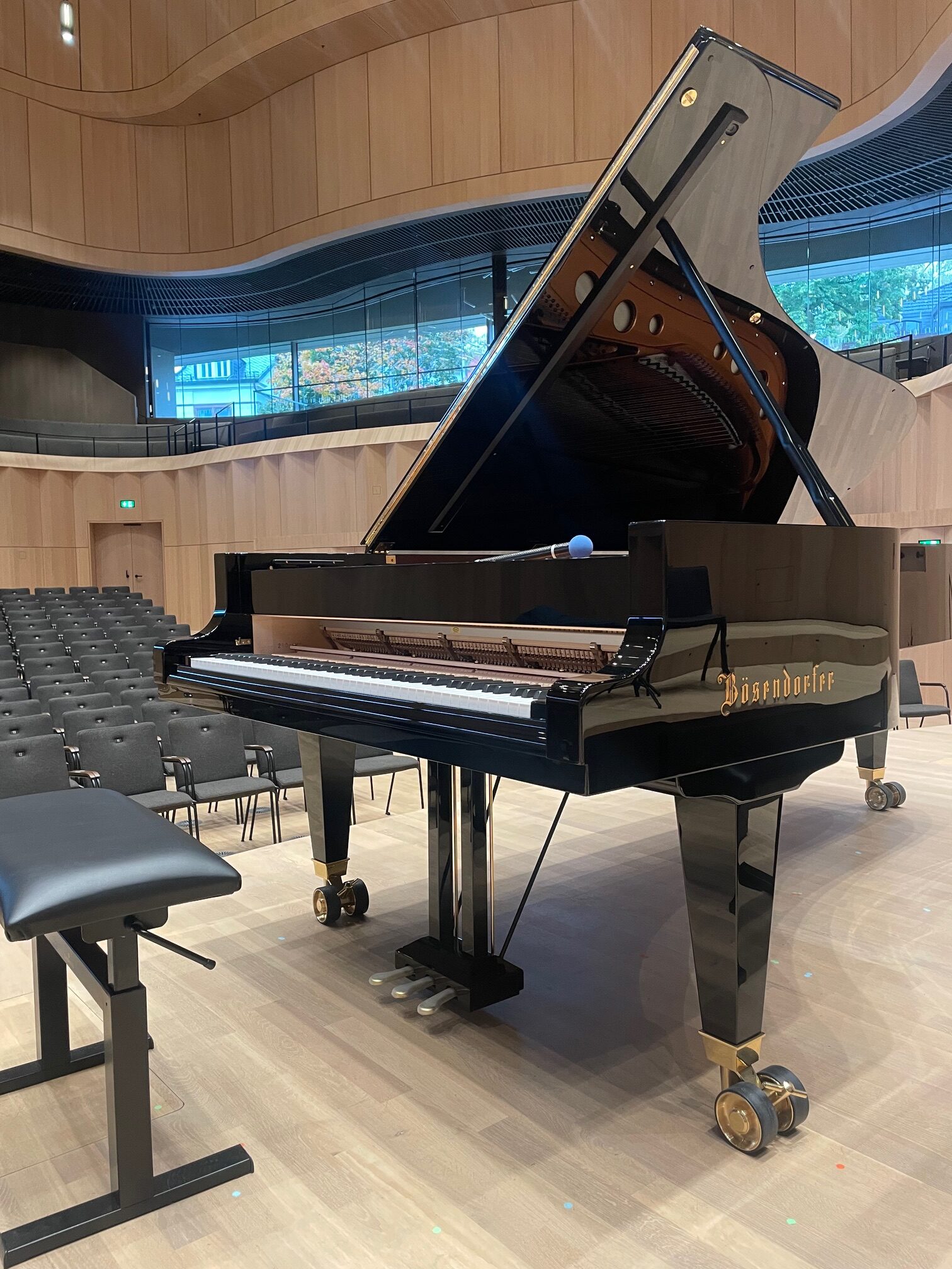 Kronberg Bösendorfer Brendel (1)