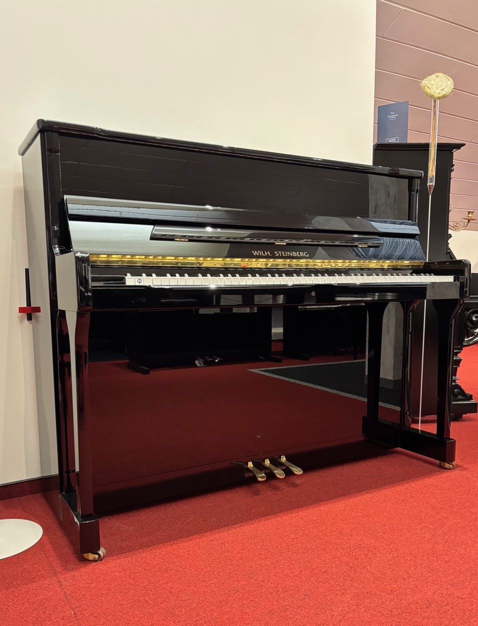 Wilhelm Steinberg<br/>IQ 116 cm<br/>Baujahr 1997<br/>Gebraucht € 7 250 ,-<br/>Standort: St. Sebastian