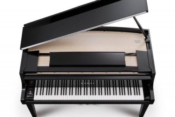 Kawai_NV12_above_03_800x800