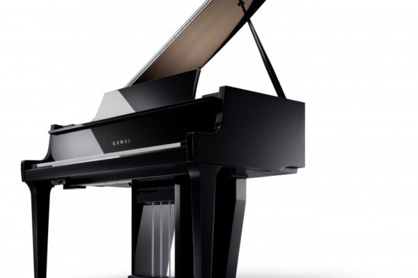 Kawai_NV12_dynamic_03_800x800