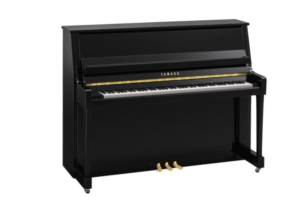 Yamaha, B20