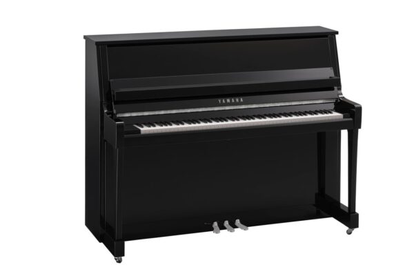 Yamaha, B20, seitlich, PEC
