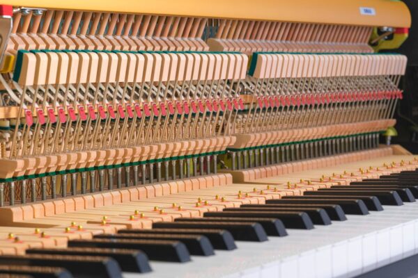 Yamaha, B30, Mechanik