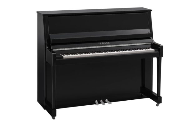 Yamaha, B30, seitlich, PEC